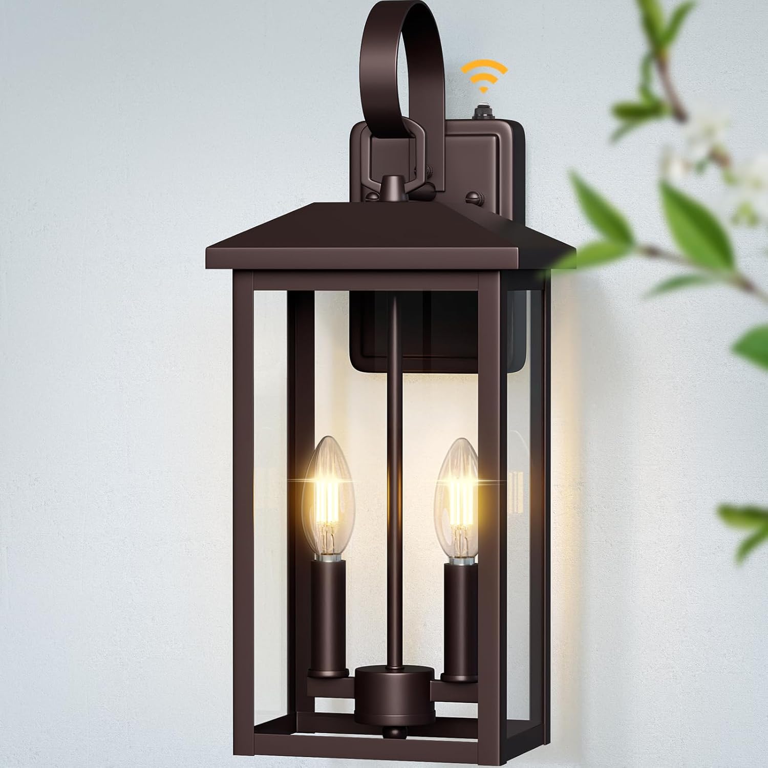 Brilvibera 2-Light Porch Wall Light with Dusk to Dawn Sensor