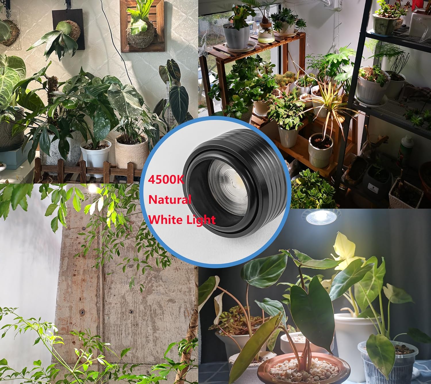 KAYYELAMP 10W Full Spectrum Plant Grow Track Light 4500K